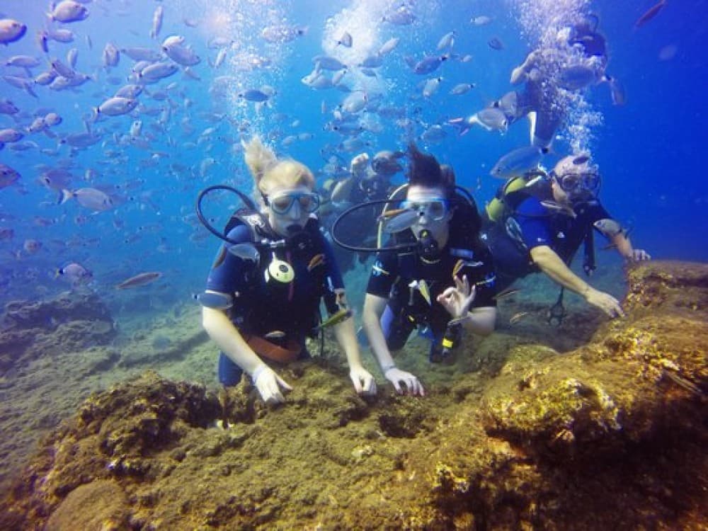 Side Scuba Diving: Explore the Underwater Museum Experience | ®ExcursionMania - Image 3