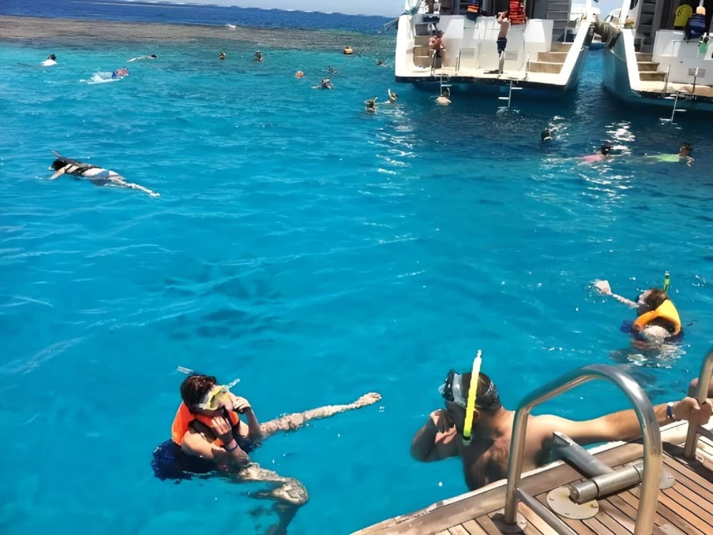 Excursion to Ras Mohammed Sharm El Sheikh by bus | ®ExcursionMania - Image 5