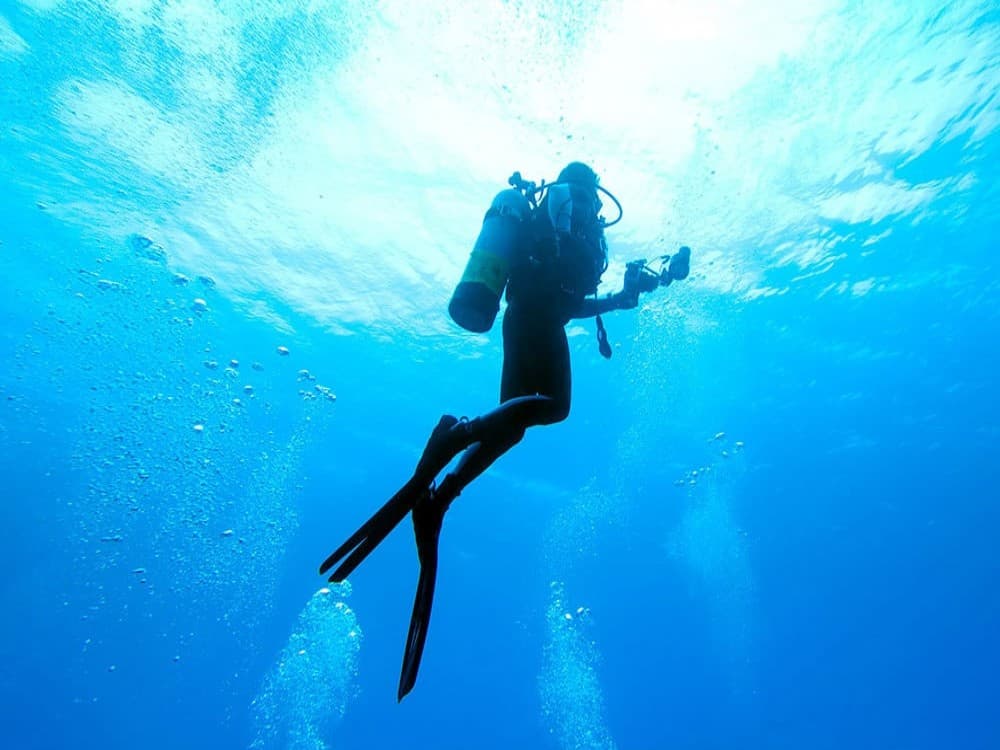 Side Scuba Diving Tour: Explore, Dive, Relish in Crystal Waters | ®ExcursionMania - Image 2