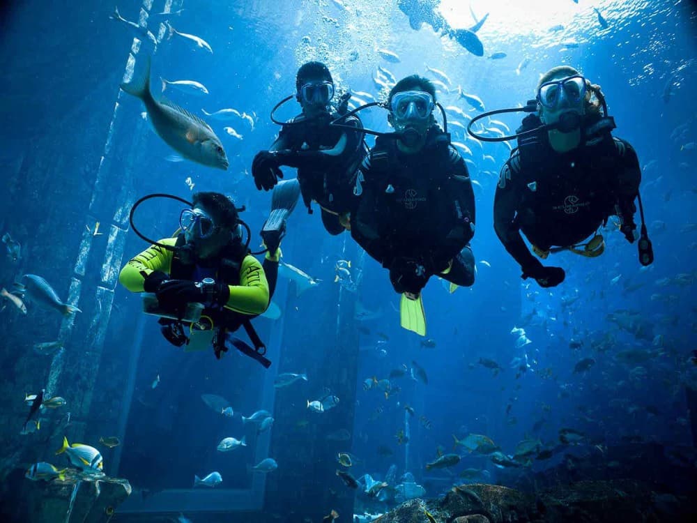 Side Scuba Diving Tour: Explore, Dive, Relish in Crystal Waters | ®ExcursionMania - Image 3