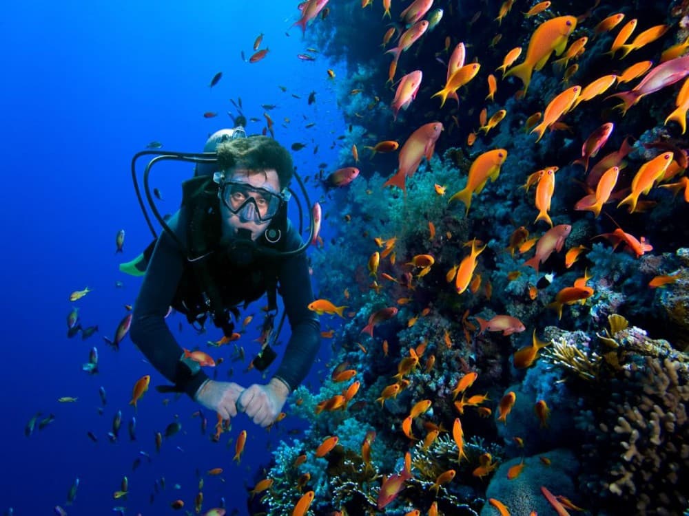 Side Scuba Diving Tour: Explore, Dive, Relish in Crystal Waters | ®ExcursionMania - Image 6