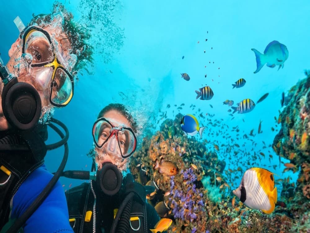 Side Scuba Diving Tour: Explore, Dive, Relish in Crystal Waters | ®ExcursionMania - Image 7