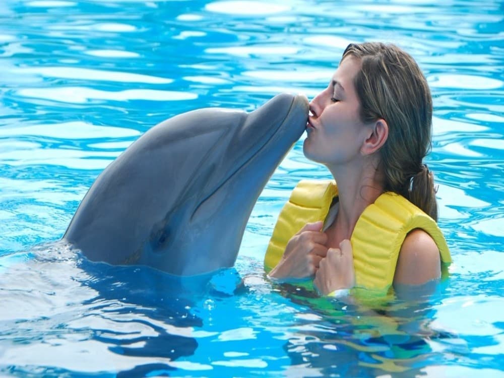 Kemer Dolphinarium : Swimming with Dolphins & Hotel Transfer | ®ExcursionMania - Image 2