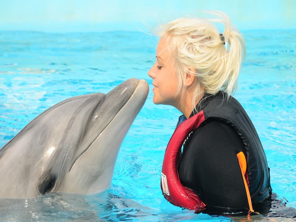 Kemer Dolphinarium : Swimming with Dolphins & Hotel Transfer | ®ExcursionMania - Image 6