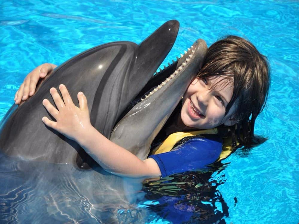 Kemer Dolphinarium : Swimming with Dolphins & Hotel Transfer | ®ExcursionMania - Image 7
