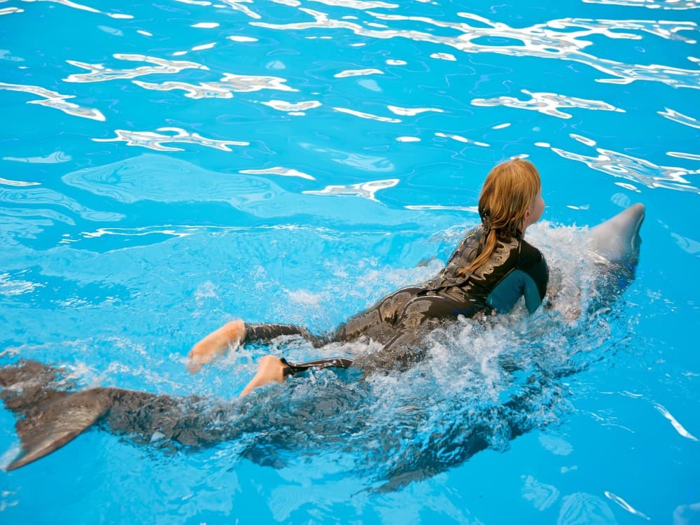 Kemer Dolphinarium : Swimming with Dolphins & Hotel Transfer | ®ExcursionMania - Image 10