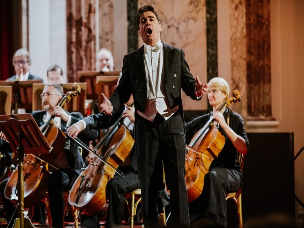 Vienna: Strauss and Mozart Concert at Hofburg Palace | ®ExcursionMania - Image 1