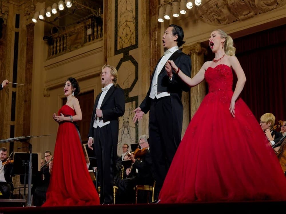 Vienna: Strauss and Mozart Concert at Hofburg Palace | ®ExcursionMania - Image 3