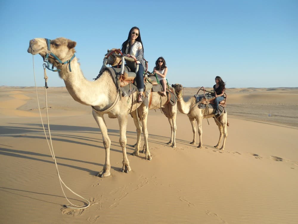 Sharm El Sheikh: Desert & Water Sports Adventure Day | ®ExcursionMania - Image 1