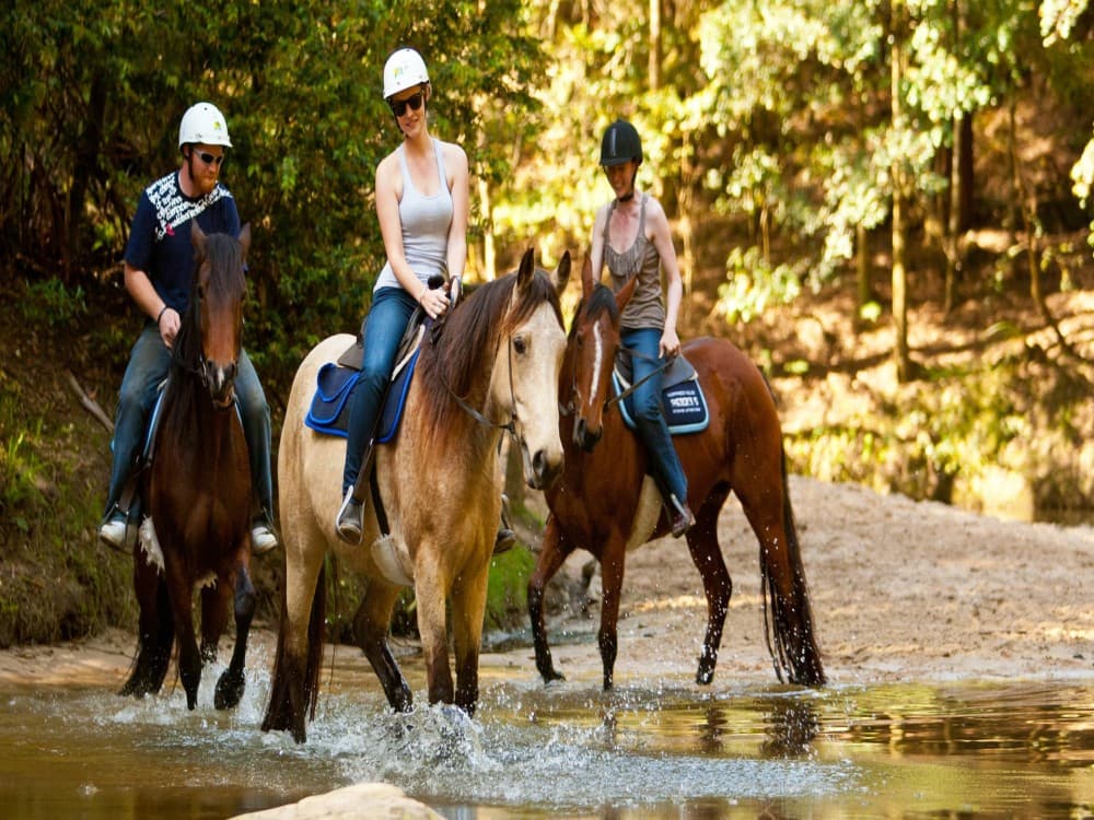Marmaris Horse Safari & Mini Zoo w/Hotel Pickup | ®ExcursionMania - Image 6