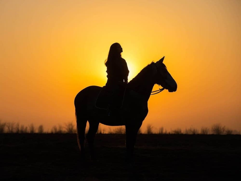 Marmaris Horse Safari & Mini Zoo w/Hotel Pickup | ®ExcursionMania - Image 8