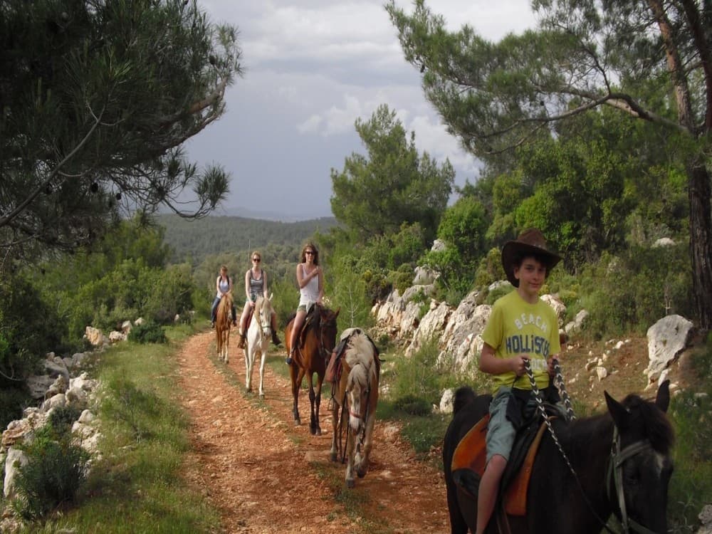 Marmaris Horse Safari & Mini Zoo w/Hotel Pickup | ®ExcursionMania - Image 3