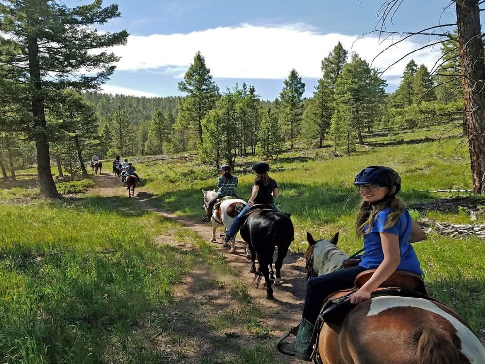 Marmaris Horse Safari & Mini Zoo w/Hotel Pickup | ®ExcursionMania - Image 4