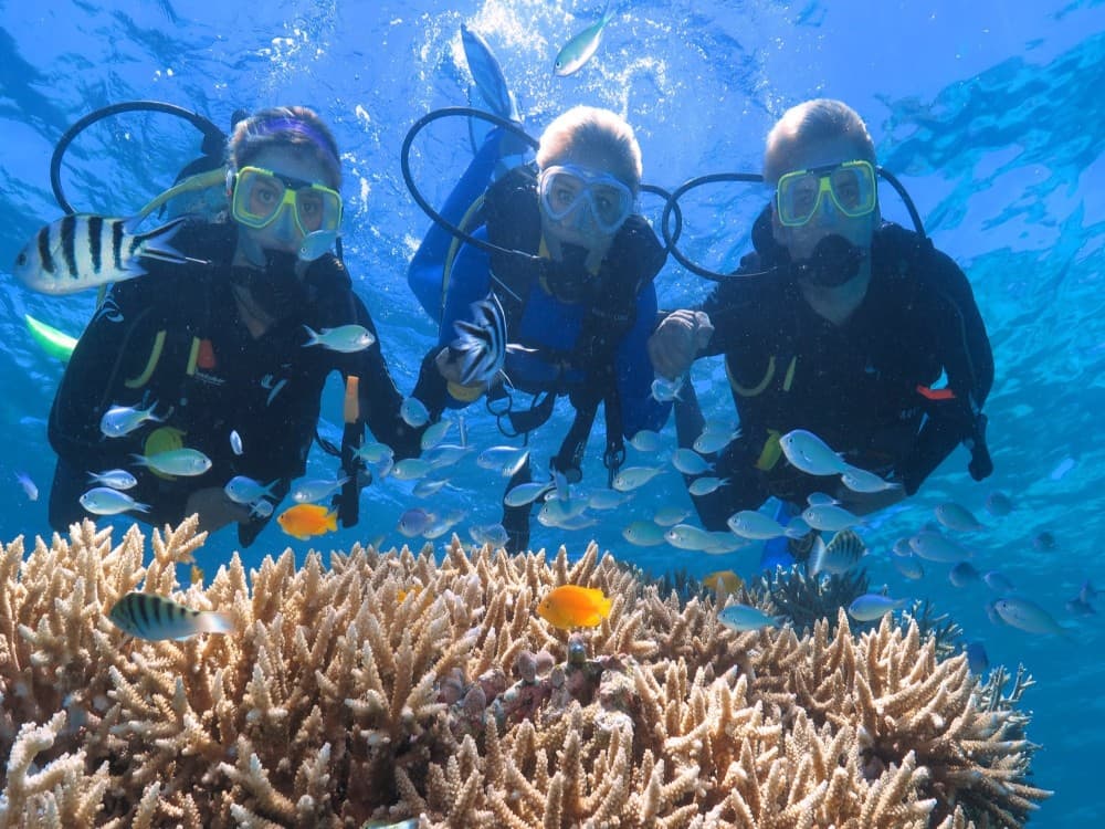 Antalya Scuba Diving Experience Lunch, 2 Dives & Pickup | ®ExcursionMania - Image 1