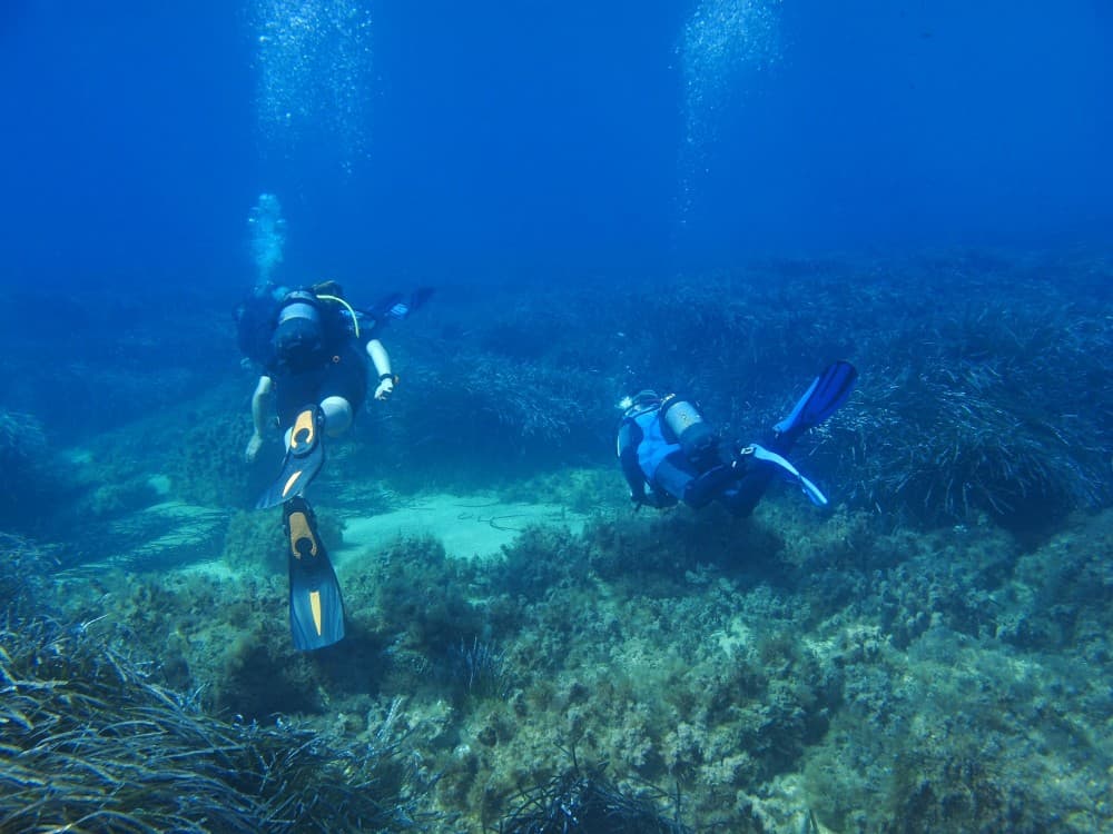 Antalya Scuba Diving Experience Lunch, 2 Dives & Pickup | ®ExcursionMania - Image 4