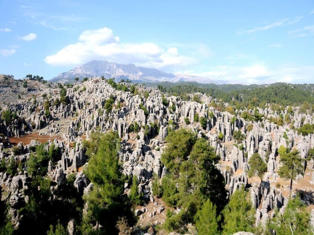 Antalya: Eagle Canyon and Selge Ancient City Tour | ®ExcursionMania - Image 2