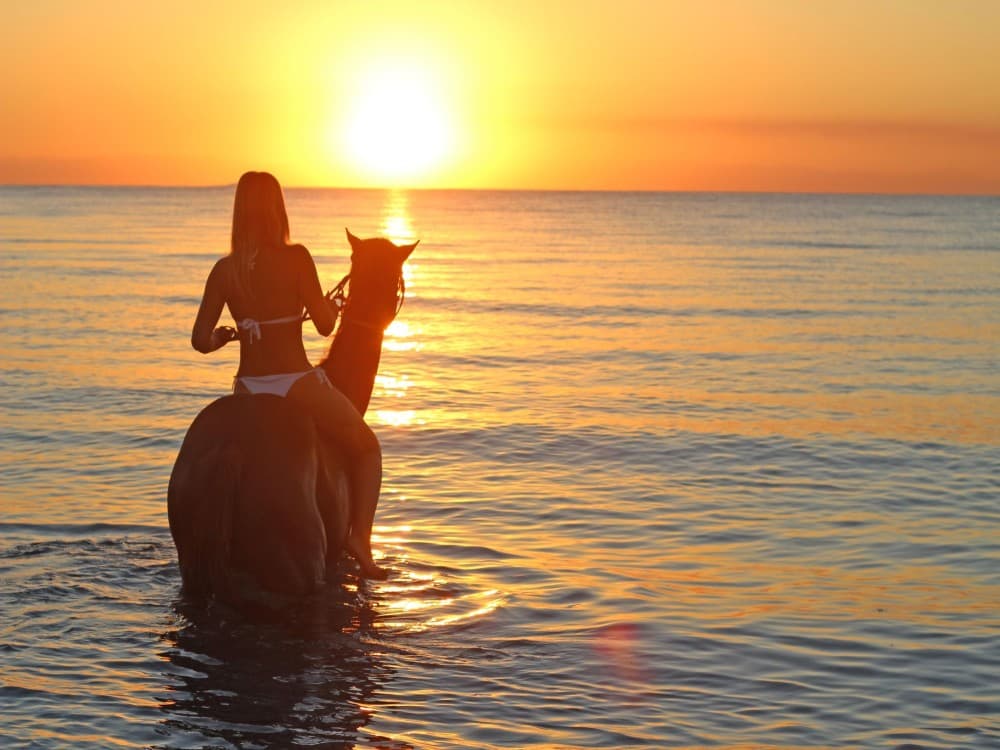 Antalya Horseback Adventure: Explore Nature’s Beauty | ®ExcursionMania - Image 6