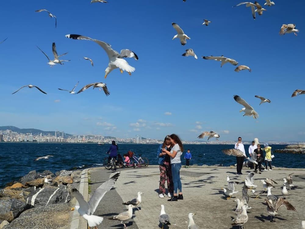 Istanbul: Discover the Princes Islands with Round-Trip Ferry Tickets | ®ExcursionMania - Image 6