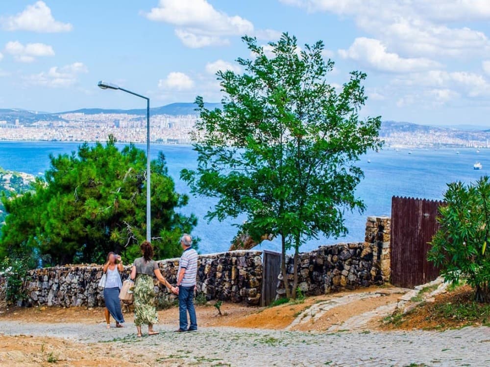 Istanbul: Discover the Princes Islands with Round-Trip Ferry Tickets | ®ExcursionMania - Image 7