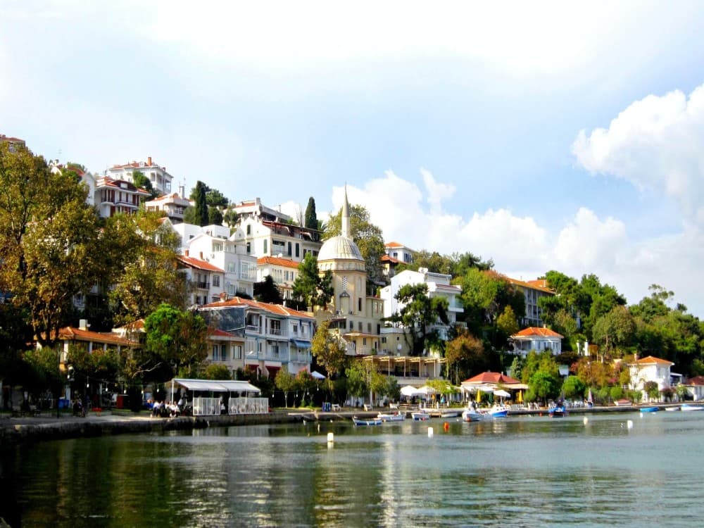 Istanbul: Discover the Princes Islands with Round-Trip Ferry Tickets | ®ExcursionMania - Image 9