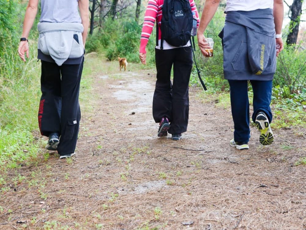 Hiking Filerimos  3 Hours  Sandwich Included | ®ExcursionMania - Image 3