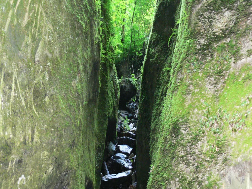 Hiking Filerimos  3 Hours  Sandwich Included | ®ExcursionMania - Image 6