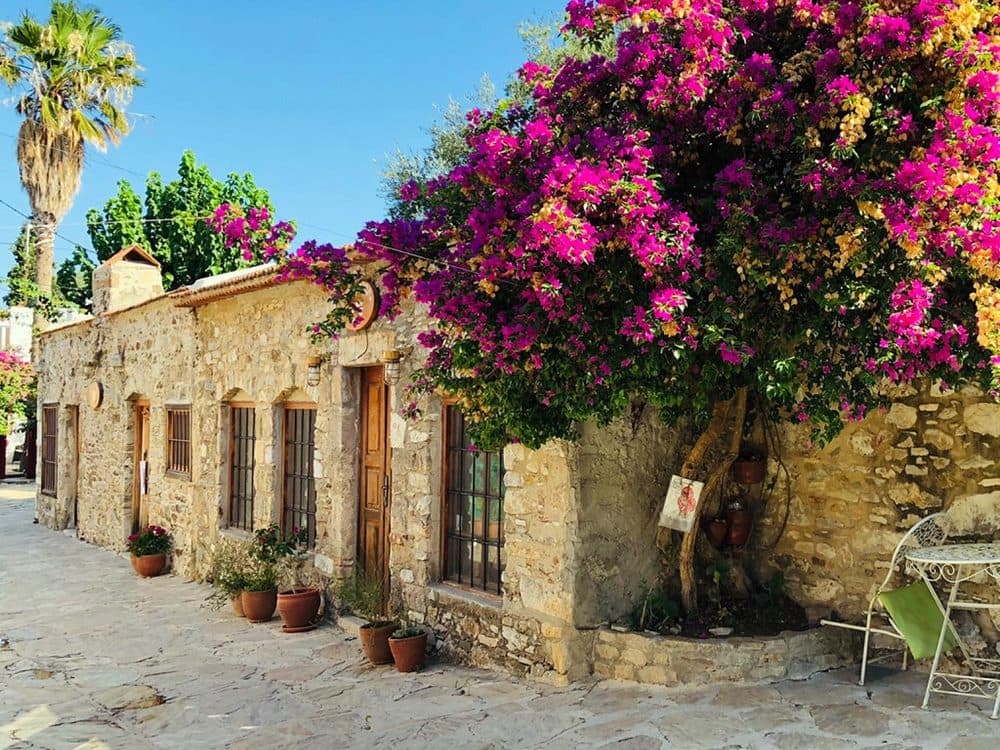 Marmaris: Datca Tour  W/ Lunch & Hotel Pickup Service | ®ExcursionMania - Image 6