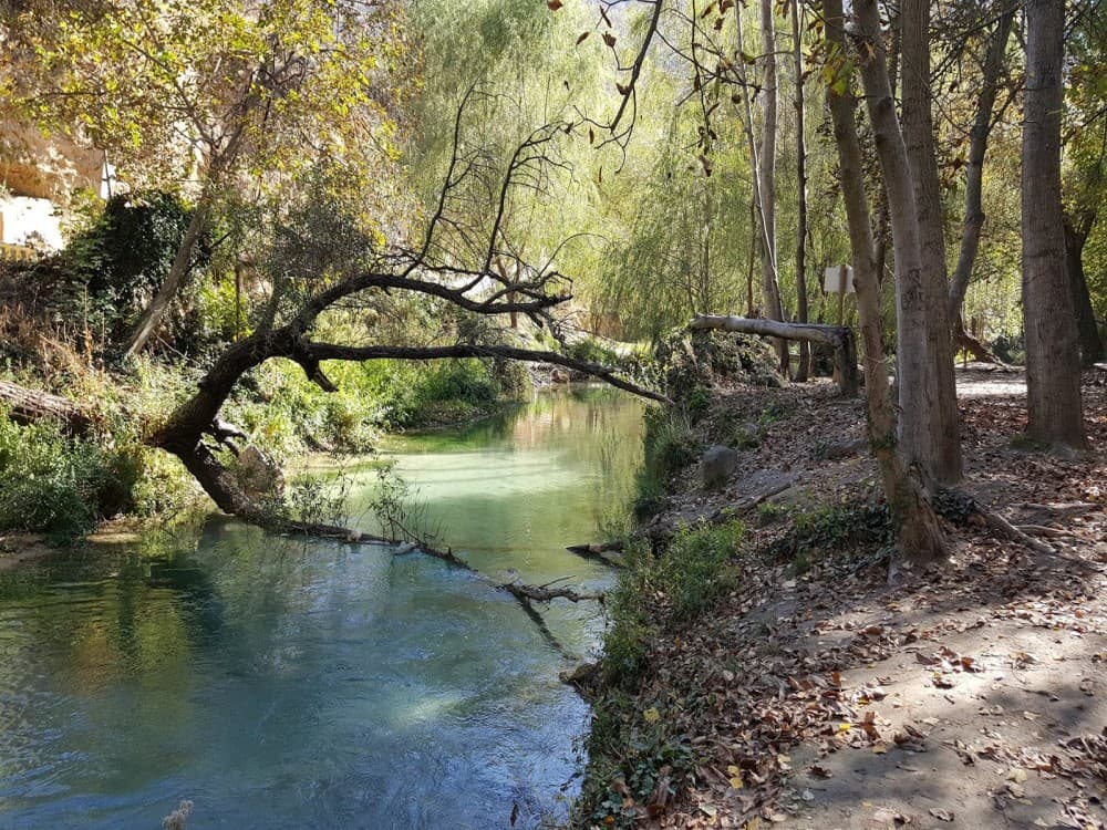 From Rhodes: Lindos and 7 Springs Valley Bus Tour | ®ExcursionMania - Image 2