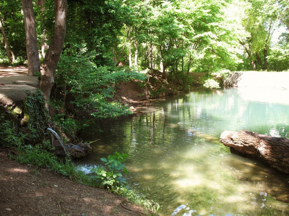From Rhodes: Lindos and 7 Springs Valley Bus Tour | ®ExcursionMania - Image 4