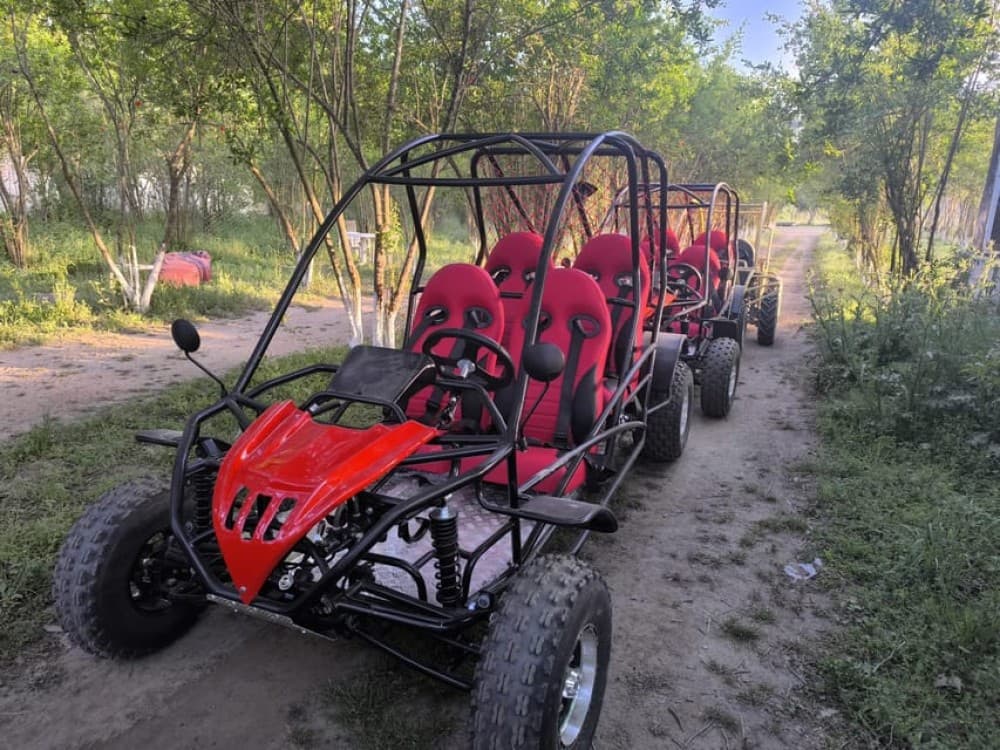 Alanya Buggy Safari Thrill by River & Muddy Forest | ®ExcursionMania - Image 5