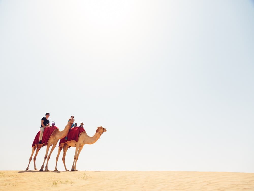 Dubai: Desert Safari, Quad Bike, Camel Ride & Al Khayma Camp | ®ExcursionMania - Image 9