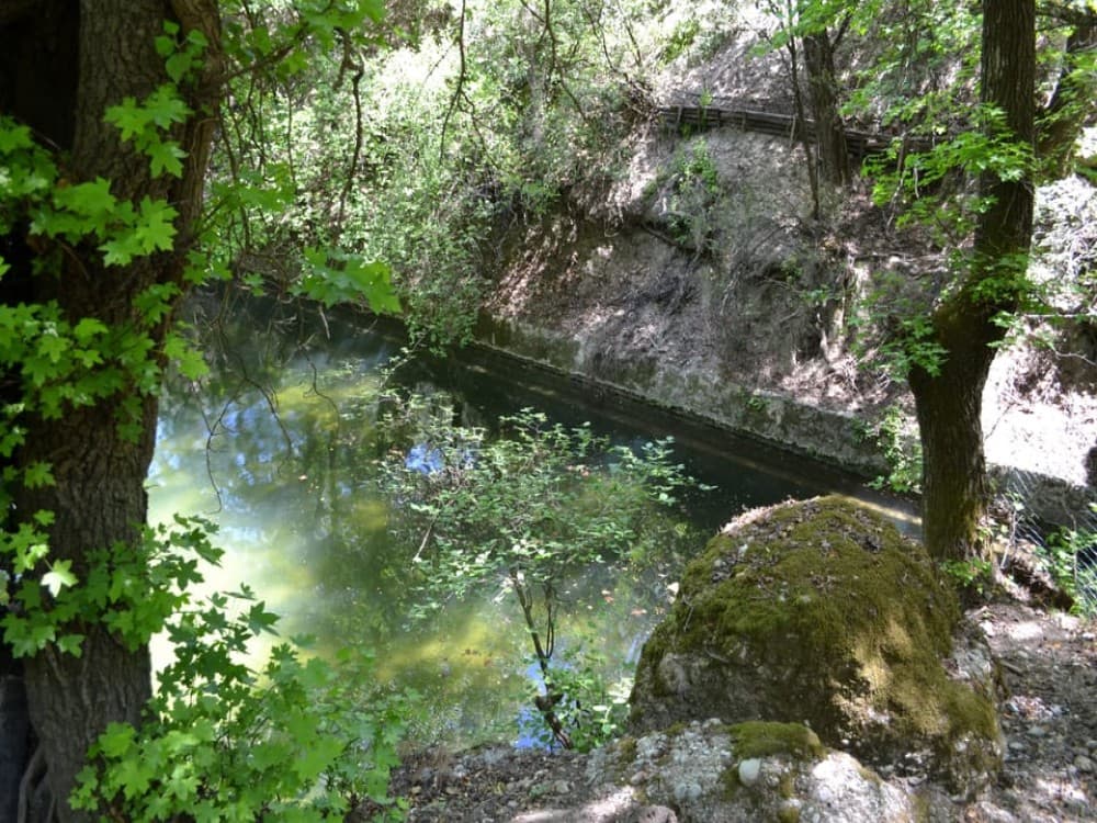 Rhodes: Filerimos, Butterfly Valley & Ancient Kamiros Tour | ®ExcursionMania - Image 1