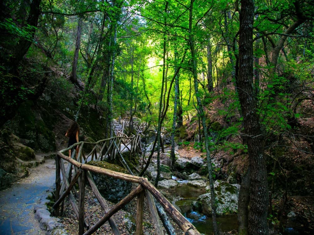 Rhodes: Filerimos, Butterfly Valley & Ancient Kamiros Tour | ®ExcursionMania - Image 4