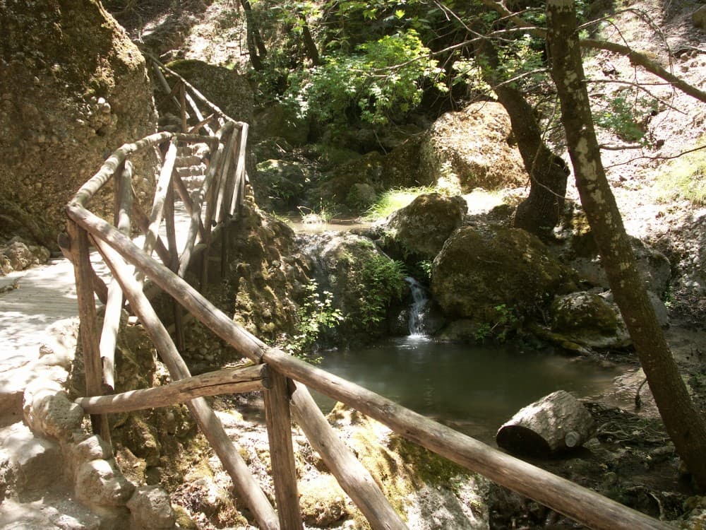 Rhodes: Filerimos, Butterfly Valley & Ancient Kamiros Tour | ®ExcursionMania - Image 10