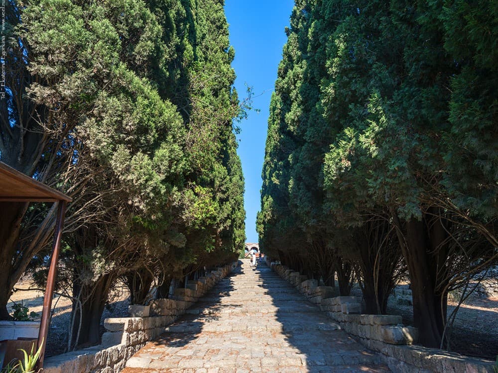 Rhodes: Filerimos hill and Butterflies Valley-Small Group | ®ExcursionMania - Image 7