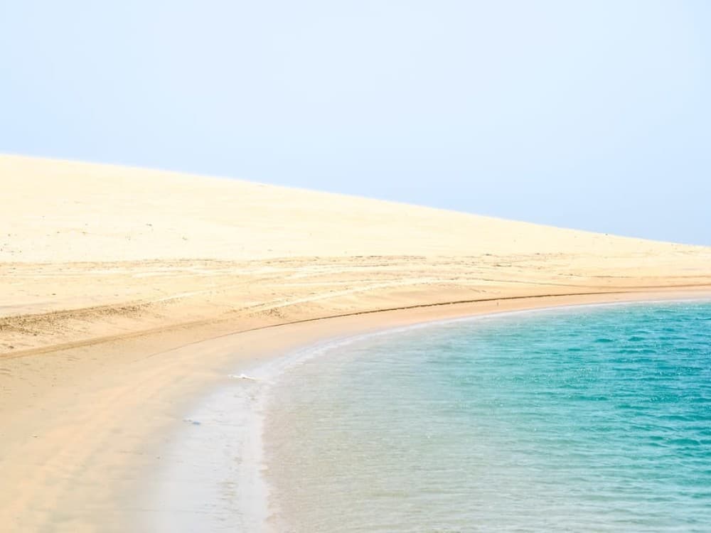 Doha: Safari Camel Ride Sandboarding and Inland Sea Tour | ®ExcursionMania - Image 2