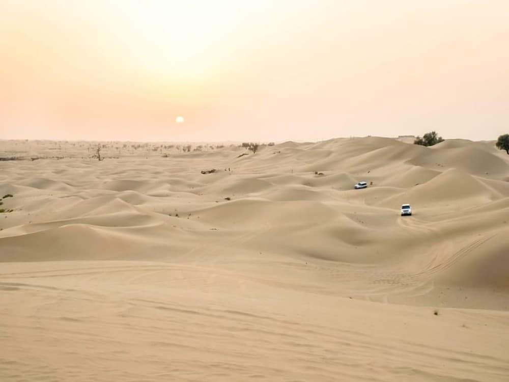 Doha: Safari Camel Ride Sandboarding and Inland Sea Tour | ®ExcursionMania - Image 4