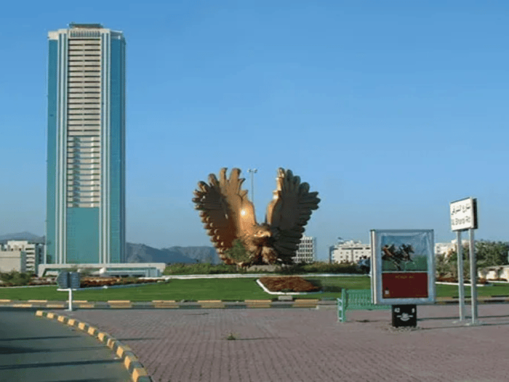 Fujairah: East Cost Tour, Snorkel with turtle & Scuba Diving | ®ExcursionMania - Image 1