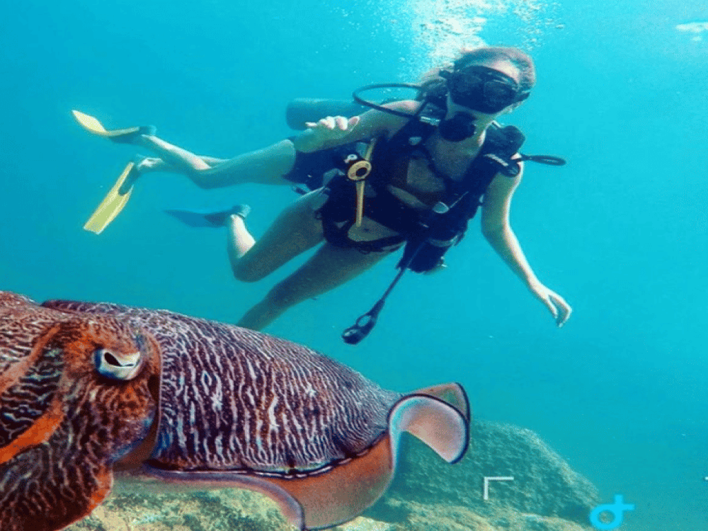 Fujairah: East Cost Tour, Snorkel with turtle & Scuba Diving | ®ExcursionMania - Image 2
