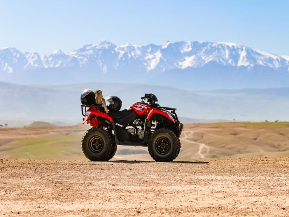 Marrakech Quad Bike Experience: Desert and Palmeraie | ®ExcursionMania - Image 3
