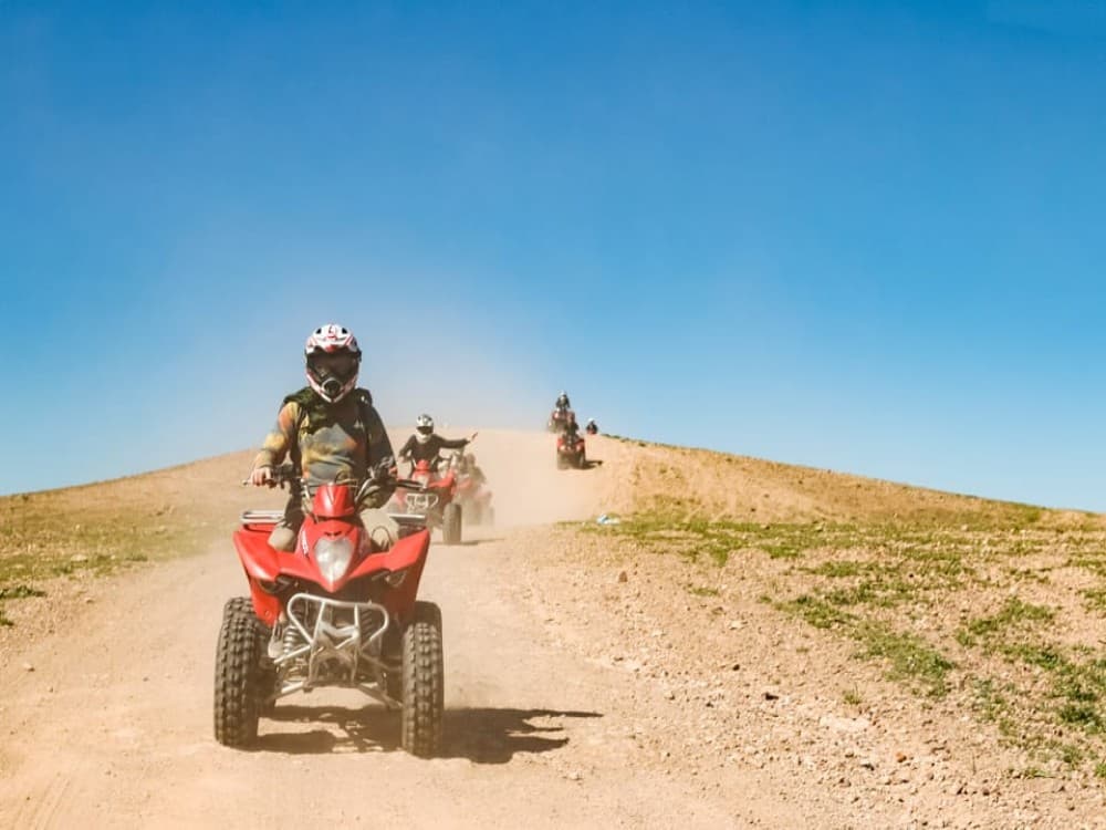 Marrakech Quad Bike Experience: Desert and Palmeraie | ®ExcursionMania - Image 4