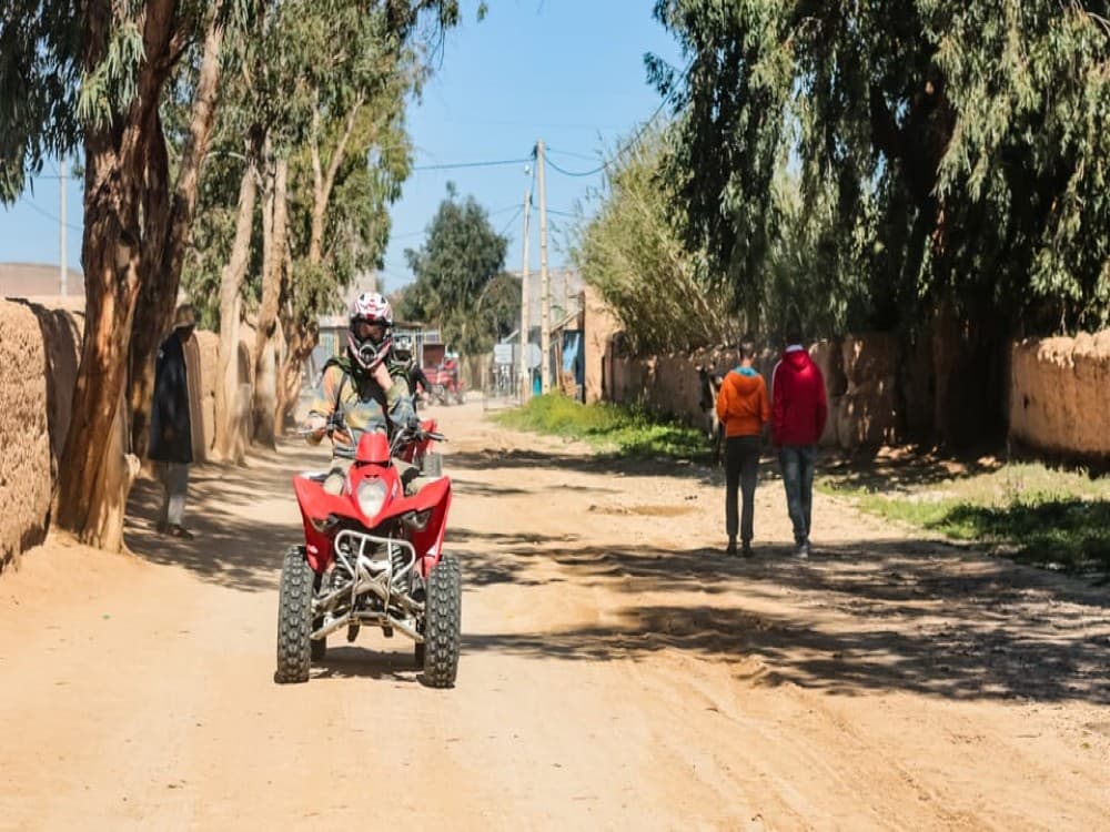 Marrakech Quad Bike Experience: Desert and Palmeraie | ®ExcursionMania - Image 5