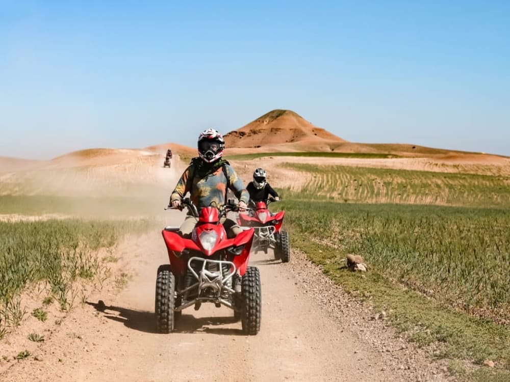 Marrakech Quad Bike Experience: Desert and Palmeraie | ®ExcursionMania - Image 7