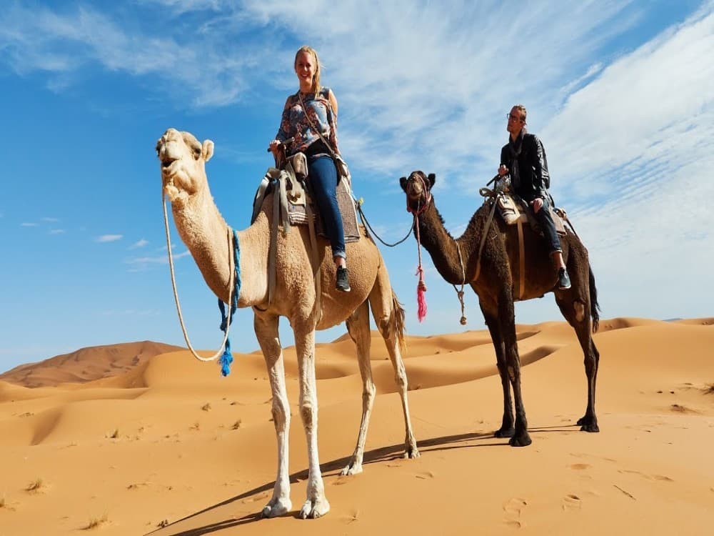 Agafay Desert Adventure: Quad Biking Camel Ride & Dinner | ®ExcursionMania - Image 4