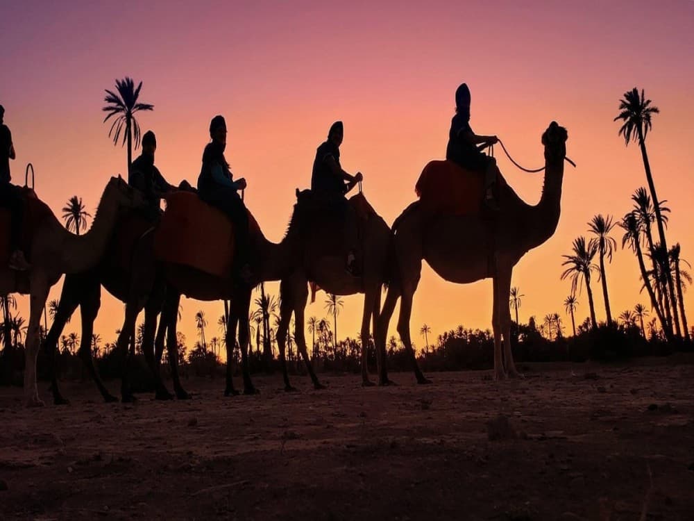 Agafay Desert Adventure: Quad Biking Camel Ride & Dinner | ®ExcursionMania - Image 7