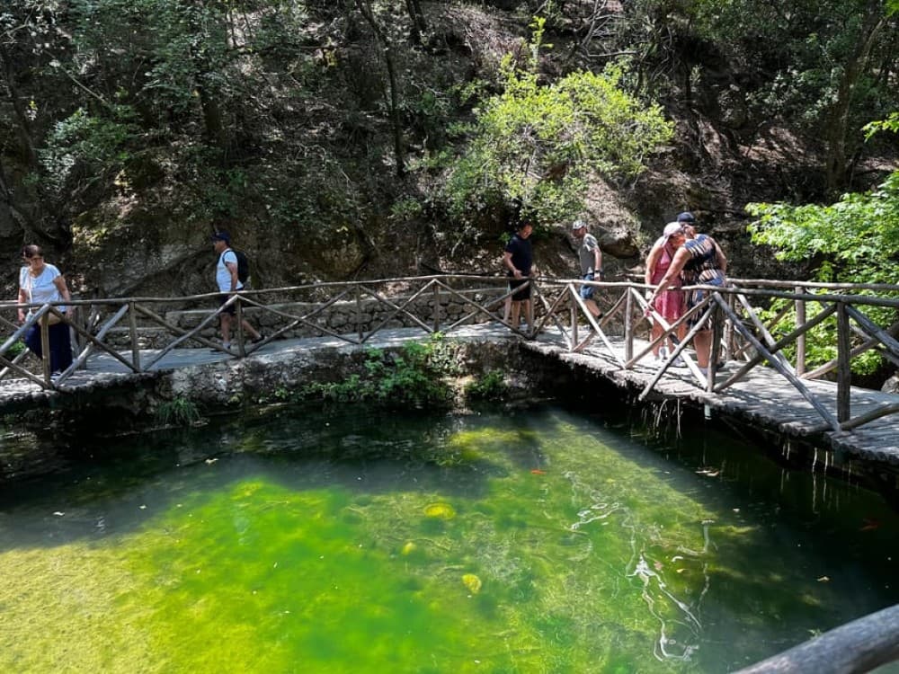 Private tour: Butterflies Valley & Lindos Village / FD | ®ExcursionMania - Image 4