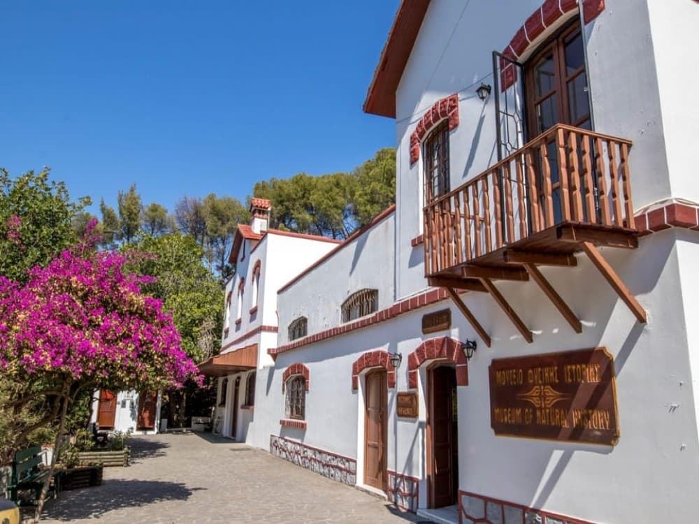 Private tour: Butterflies Valley & Lindos Village / FD | ®ExcursionMania - Image 6