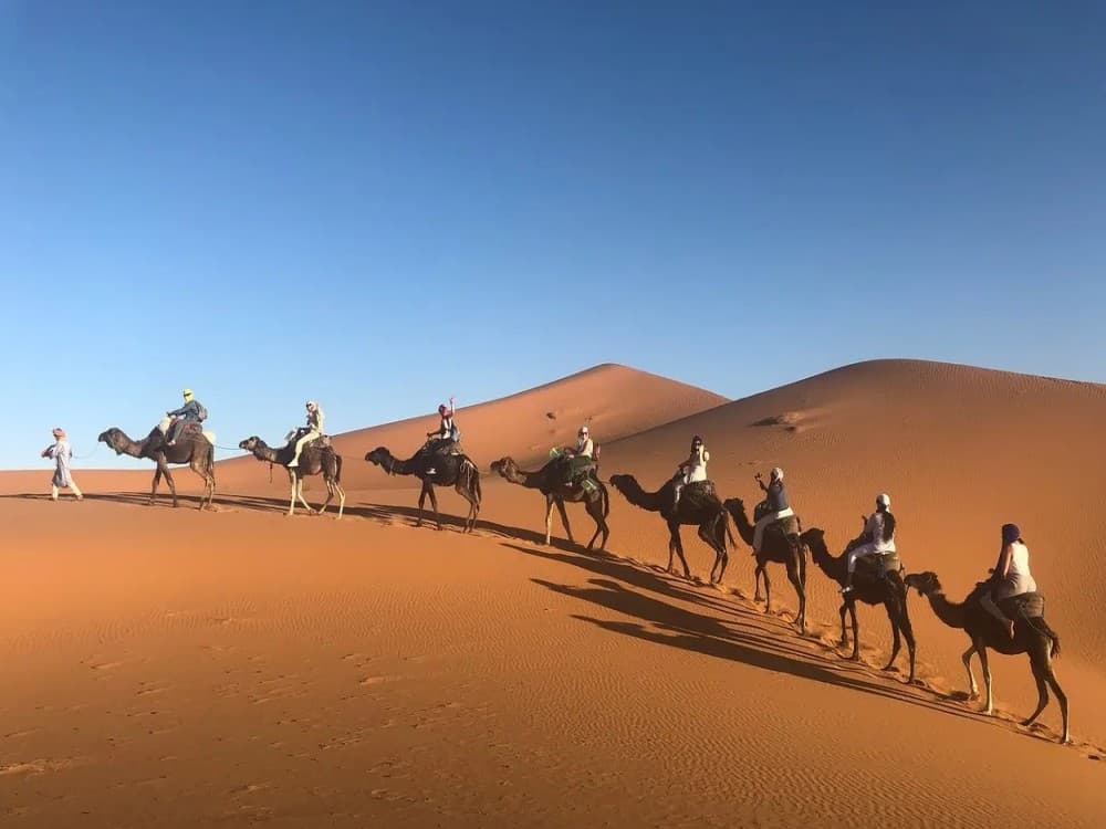 Marrakech: Agafay Desert Quad Camel & Pool Trip with Lunch | ®ExcursionMania - Image 8