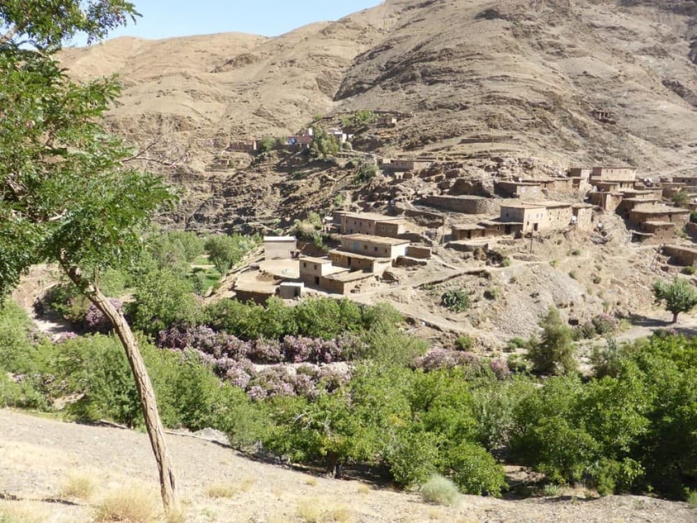 Ourika Valley Day Trip from Marrakech | ®ExcursionMania - Image 6