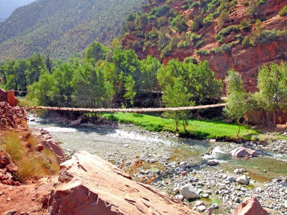 Ourika Valley Day Trip from Marrakech | ®ExcursionMania - Image 9